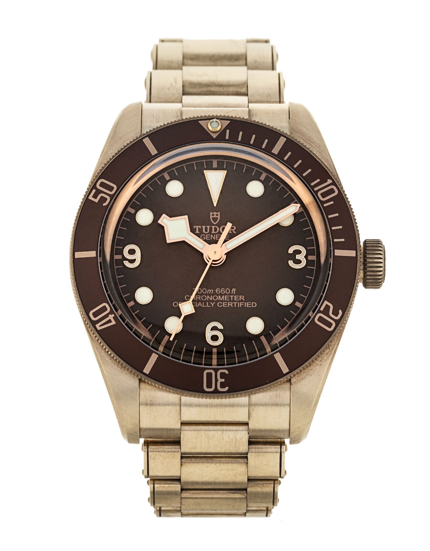 Tudor Black Bay 58 M79012M-0001 244991